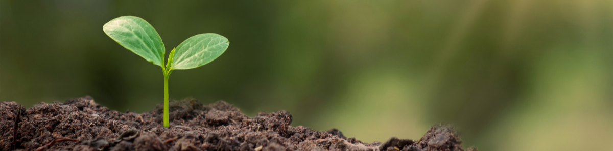 Stories With Strategies